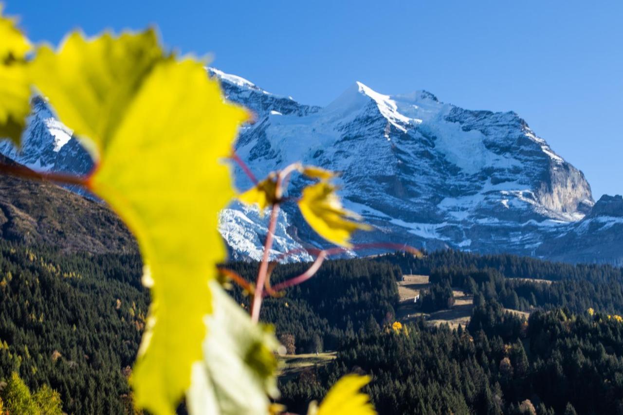 Chalet Argovia Wengen Esterno foto